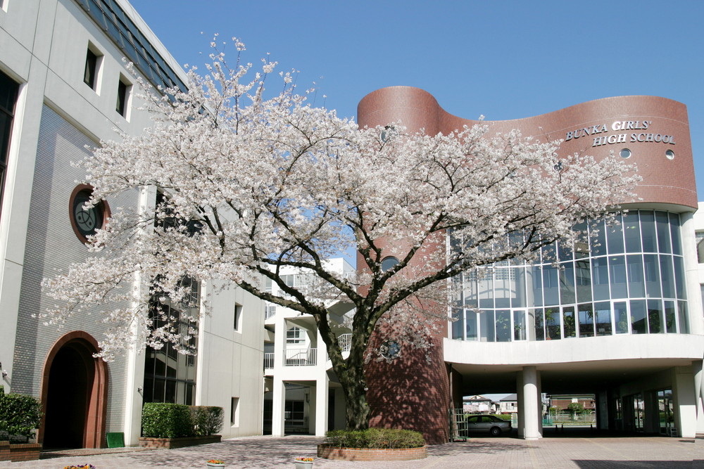 文華女子高等学校 School Message Net